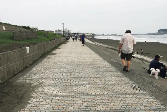 散歩・ランニングなど・・・