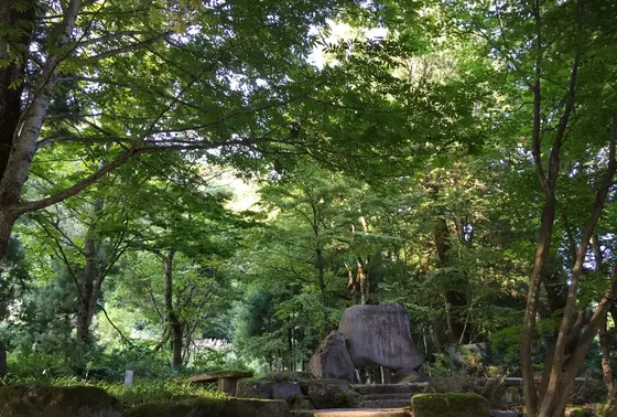 森林に癒やされる♪