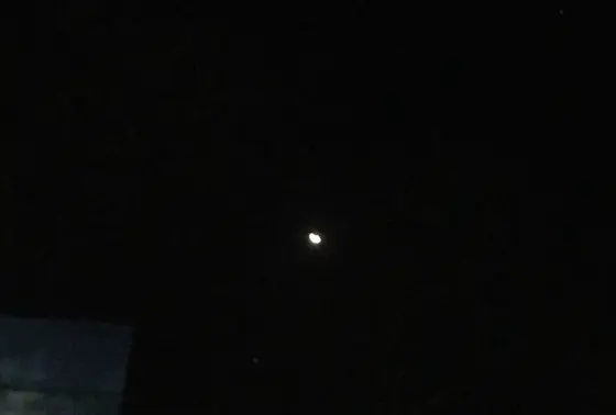 勝央で観月