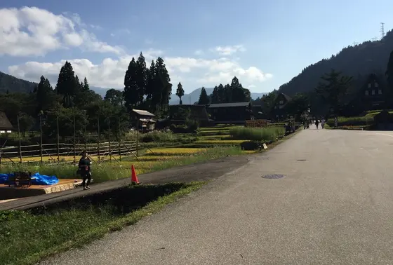 歩いているだけで癒される♡