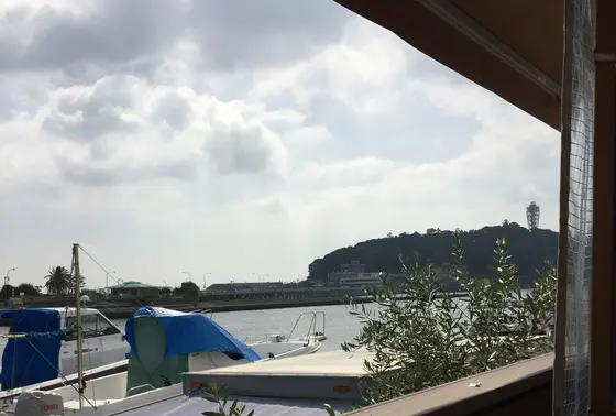 ビュー