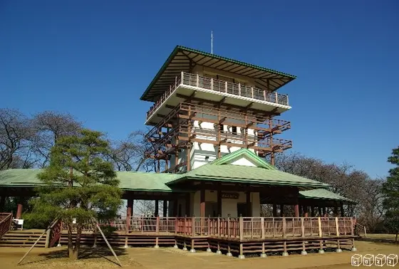 枡型山展望台