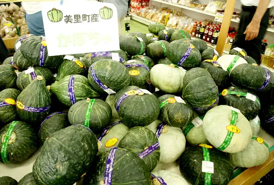 かぼちゃもこんなに！