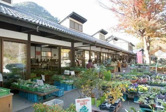 日田・大山の魅力がつまった場所です！