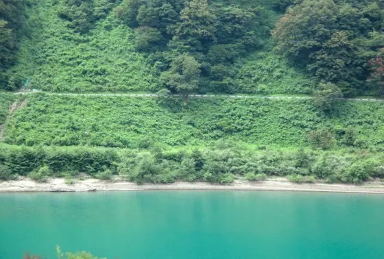 温泉パイプ