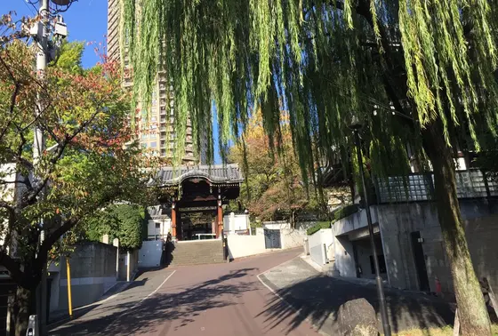 「仁」のオープニング