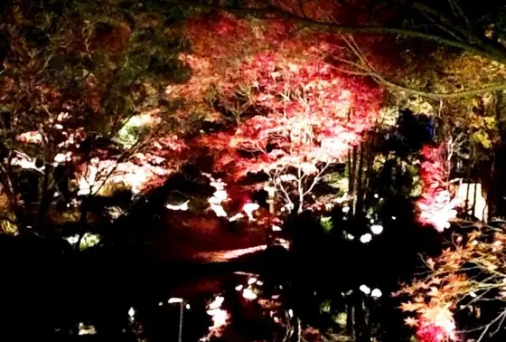 紅葉の庭園