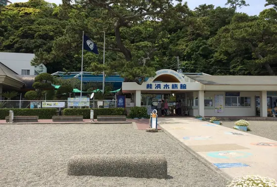 桂浜水族館