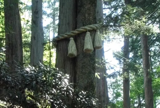 えんむすびの木