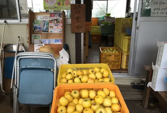 直売りんご…♡