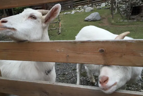 奥のスペースには。。。