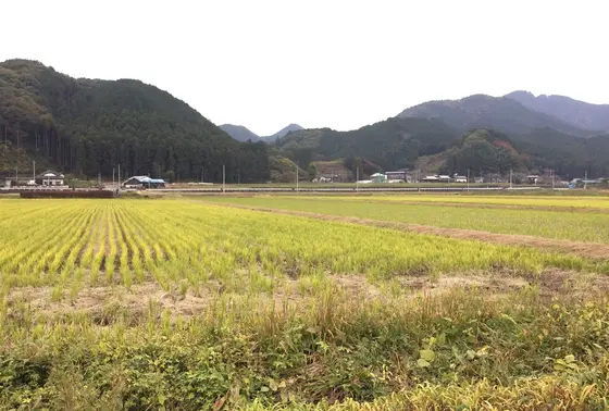 サイクリング途中の風景❤️