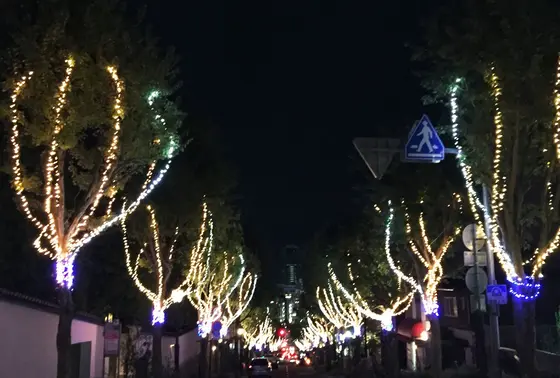 坂の下から上まで✨