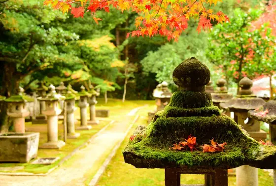 庭園