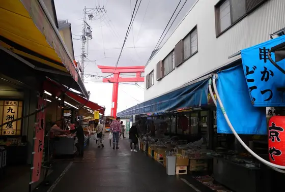 参道と東口大鳥居