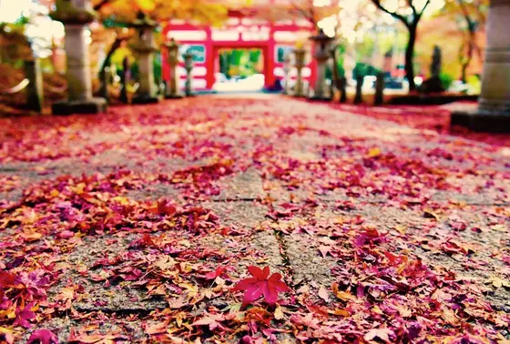 高山寺