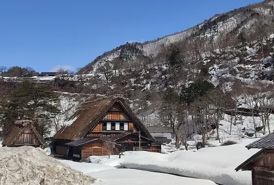 和田家