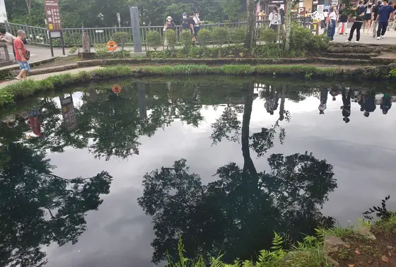 湧池5番の池