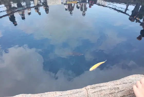 水深8mあるやつ