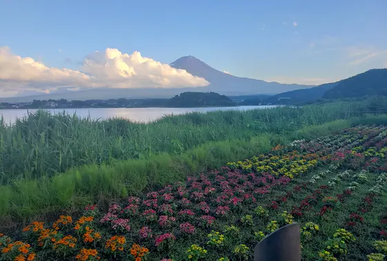 綺麗な赤富士