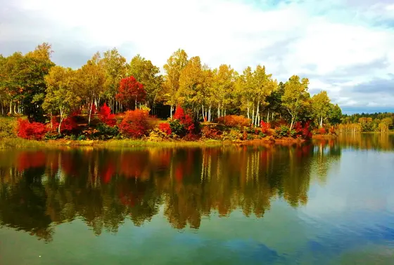 秋の紅葉♪♪