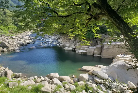 景色きれい