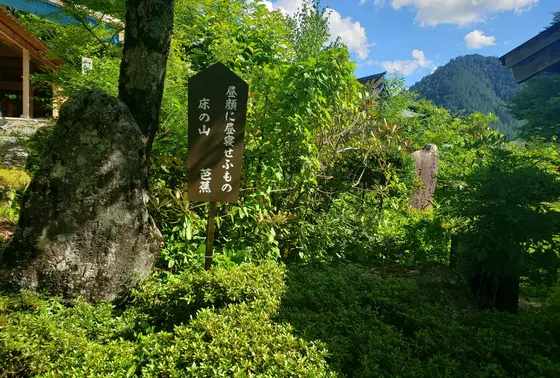 芭蕉、正岡子規ももきてる