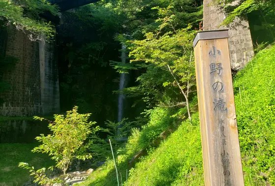 涼しいしさくっと見れる