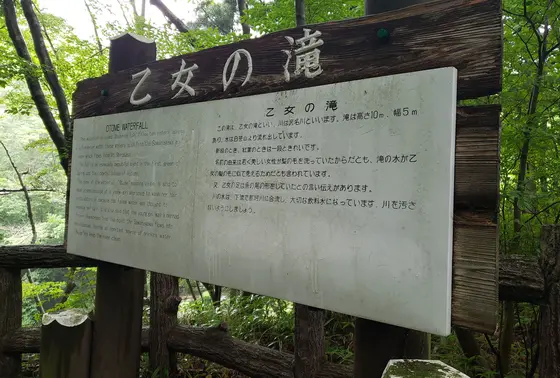 名前の由来は…