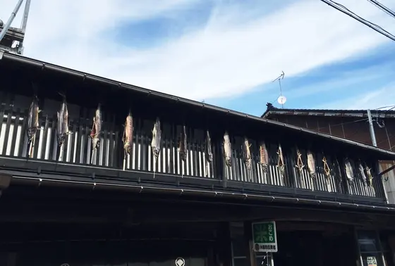 鮭がぶら下がっております〜