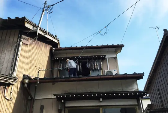 塩引き中。