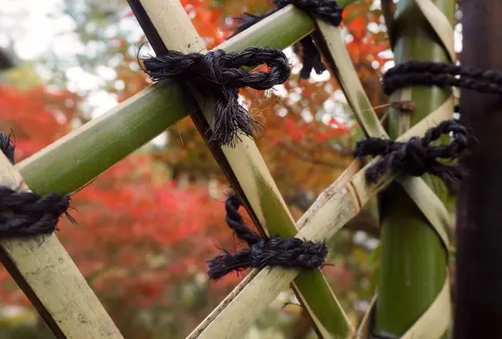 光悦寺