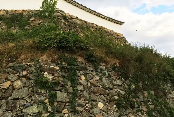 官兵衛の石垣