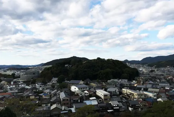 男山