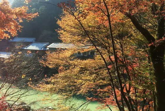 やっぱり、紅葉！