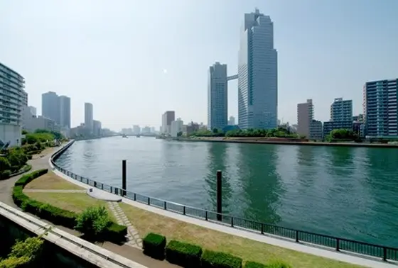 隅田川遊歩道