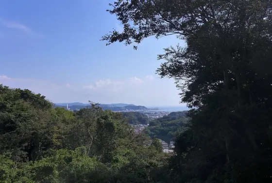 海が見える