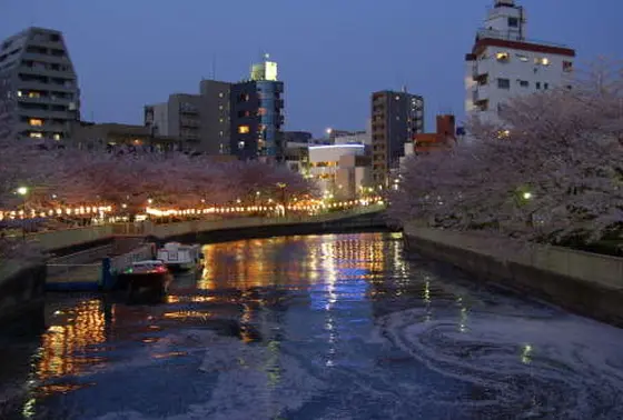 隅田川支流水路