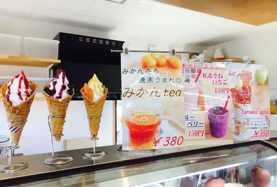 色んな種類のソフトクリーム