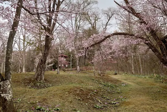 旭山公園