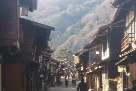 松の木