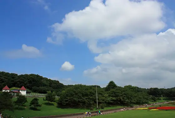 園内の広さ