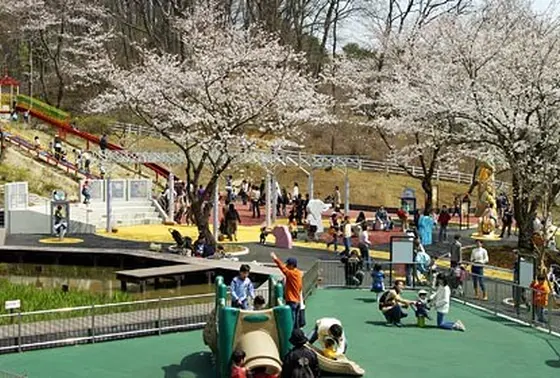 春はお花見も