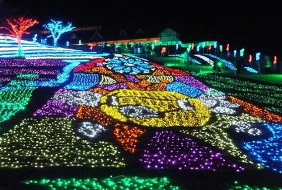 イルミネーション