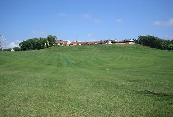 巨大な芝生広場