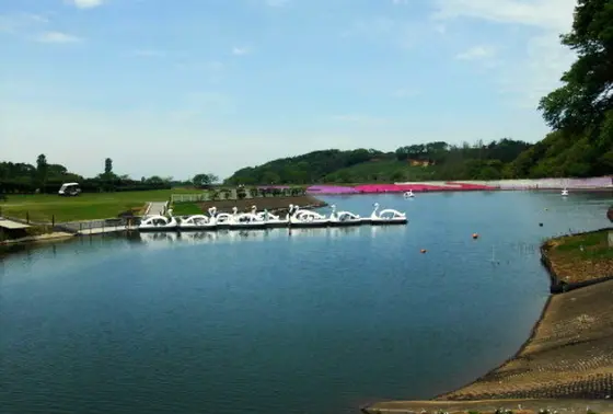 ペダルボート・手漕ぎボート