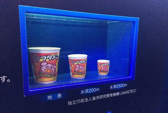 みんな大好きブタメンもミニミニサイズに