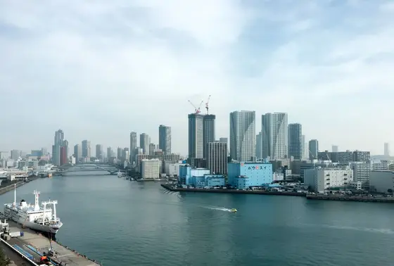 朝の景色もいい感じです。