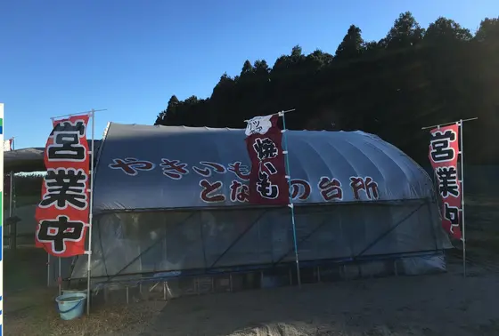 ビニールハウスのため見逃さないように要注意！