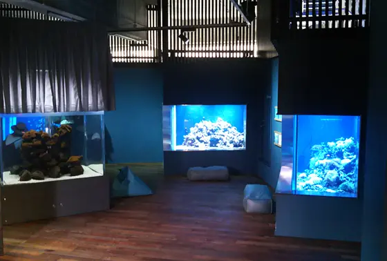 小規模水族館